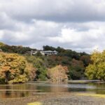 New Braunfels Texas residential neighborhood